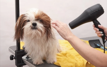 A rejuvenating deep clean using premium botanical shampoos.