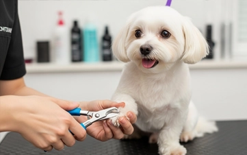A rejuvenating deep clean using premium botanical shampoos.