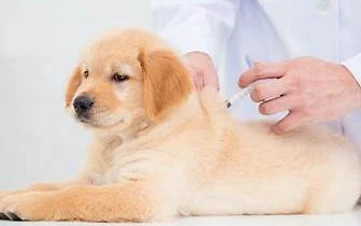 A rejuvenating deep clean using premium botanical shampoos.