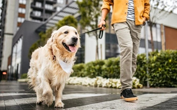 A rejuvenating deep clean using premium botanical shampoos.