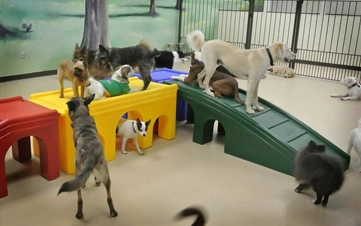 A rejuvenating deep clean using premium botanical shampoos.