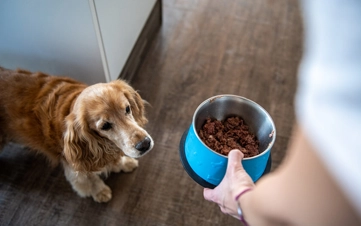 A rejuvenating deep clean using premium botanical shampoos.
