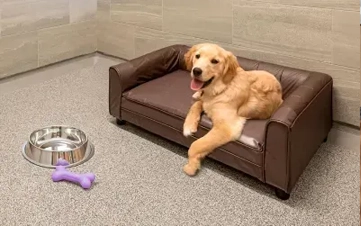 A rejuvenating deep clean using premium botanical shampoos.