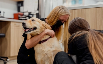 A rejuvenating deep clean using premium botanical shampoos.