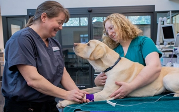 A rejuvenating deep clean using premium botanical shampoos.